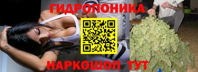 тгк Будённовск