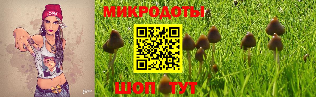 Псилоцибиновые грибы прущие грибы  Вход с VPN  Томск 