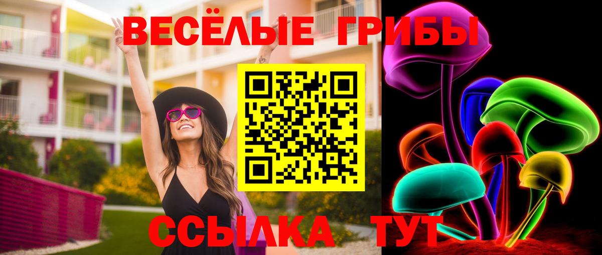Галлюциногенные грибы Psilocybe Томск